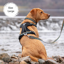 Load image into Gallery viewer, GO-B-BOLD | Dog Harness | Hollyhock
