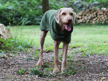 Load image into Gallery viewer, Dog Drying Coat by MuttMOP® (Olive)
