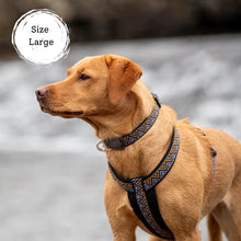 Load image into Gallery viewer, Go-Cee-Y | Dog Harness | Erysimum
