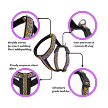 Load image into Gallery viewer, Go-Cee-Y | Dog Harness | Erysimum
