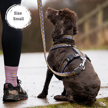 Load image into Gallery viewer, Go-Cee-Y | Dog Harness | Erysimum
