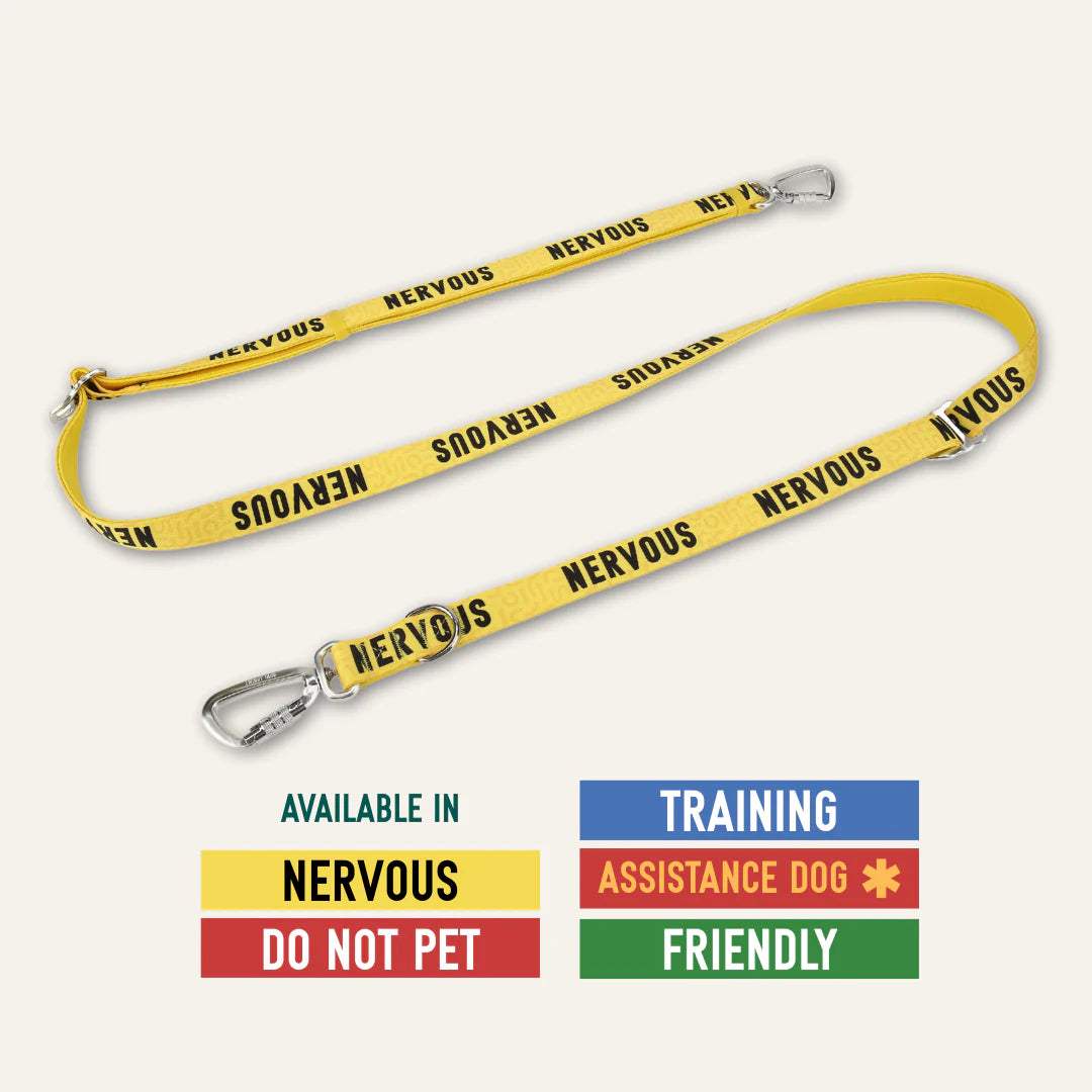 Awareness Multi-Way Lead – Perfectly Pawsome