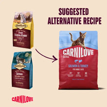 Load image into Gallery viewer, NEW ACTIVE SALMON &amp; TURKEY CAT FOOD
