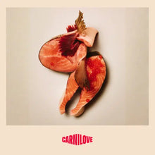 Load image into Gallery viewer, NEW ACTIVE SALMON &amp; TURKEY DOG FOOD
