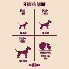 Load image into Gallery viewer, NEW ACTIVE SALMON &amp; TURKEY DOG FOOD FOR ADULT SMALL BREEDS
