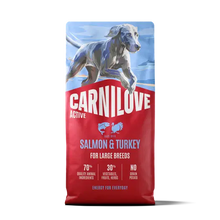 Load image into Gallery viewer, NEW ACTIVE SALMON &amp; TURKEY DOG FOOD FOR LARGE BREEDS
