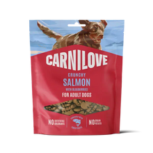 Load image into Gallery viewer, NEW SALMON WITH BLUEBERRIES CRUNCHY DOG TREATS

