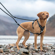 Load image into Gallery viewer, GO-B-FLEXTRA | Multifunctional Rope Lead | Green

