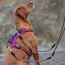 Load image into Gallery viewer, GO-B-FLEXTRA | Multifunctional Rope Lead | Green/Pink
