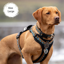 Load image into Gallery viewer, GO-B-BOLD | Dog Harness | Hollyhock
