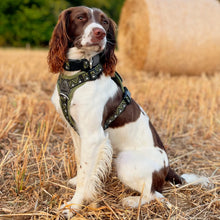 Load image into Gallery viewer, GO-B-BOLD™ | Dog Harness | Fern
