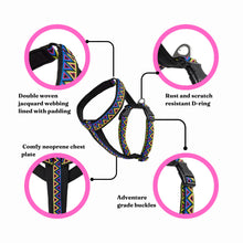 Load image into Gallery viewer, Go-Cee-Y | Dog Harness | Cosmos
