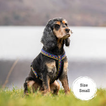 Load image into Gallery viewer, Go-Cee-Y | Dog Harness | Cosmos
