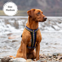 Load image into Gallery viewer, Go-Cee-Y | Dog Harness | Cosmos
