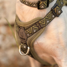 Load image into Gallery viewer, GO-B-BOLD™ | Dog Harness | Fern
