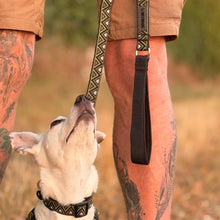 Load image into Gallery viewer, GO-CEE | Dog Lead | Fern
