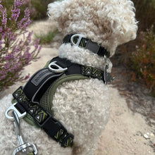 Load image into Gallery viewer, GO-B-BOLD™ | Dog Harness | Fern
