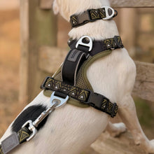 Load image into Gallery viewer, GO-B-BOLD™ | Dog Harness | Fern
