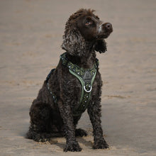 Load image into Gallery viewer, GO-B-BOLD™ | Dog Harness | Fern
