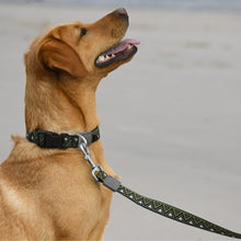 Load image into Gallery viewer, GO-CEE | Dog Lead | Fern
