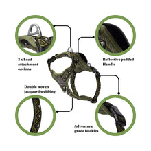 Load image into Gallery viewer, GO-B-BOLD™ | Dog Harness | Fern
