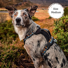 Load image into Gallery viewer, GO-B-BOLD | Dog Harness | Hollyhock
