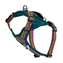 Load image into Gallery viewer, GO-B-BOLD | Dog Harness | Lantana
