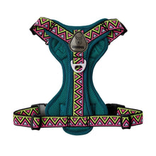 Load image into Gallery viewer, GO-B-BOLD | Dog Harness | Lantana
