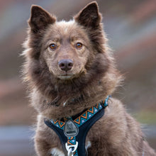 Load image into Gallery viewer, GO-B-BOLD | Dog Harness | Hollyhock
