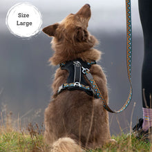 Load image into Gallery viewer, GO-B-BOLD | Dog Harness | Hollyhock
