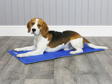 Load image into Gallery viewer, ClimaCOOL Self Cooling Dog Mat (Medium – Large)
