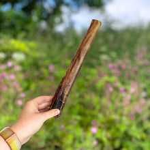 Load image into Gallery viewer, Ostrich Marrow Bones Approx 18cm
