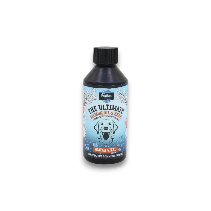 Proflax Salmon Oil for Skin & Gut Health