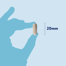 Load image into Gallery viewer, Probiotic Plus for Dogs
