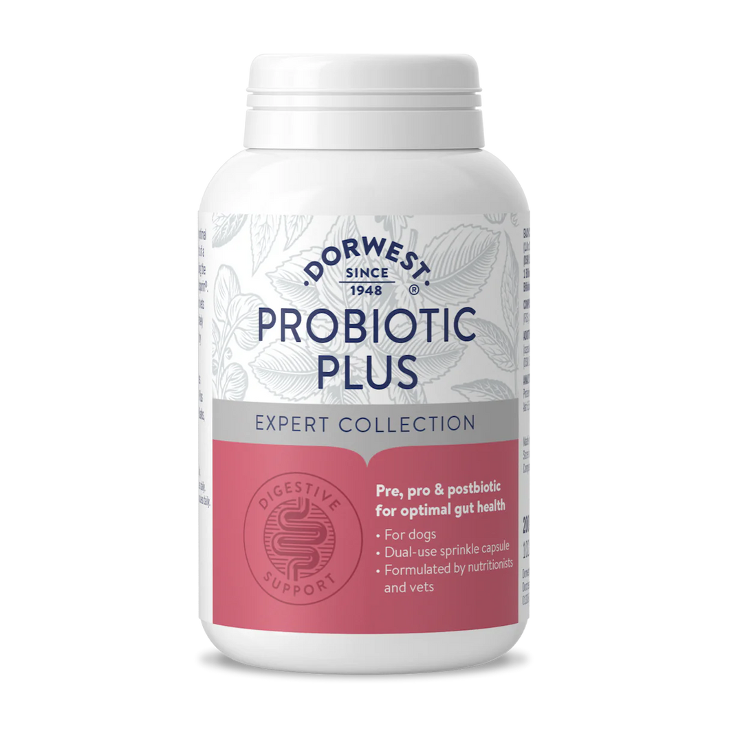 Probiotic Plus for Dogs