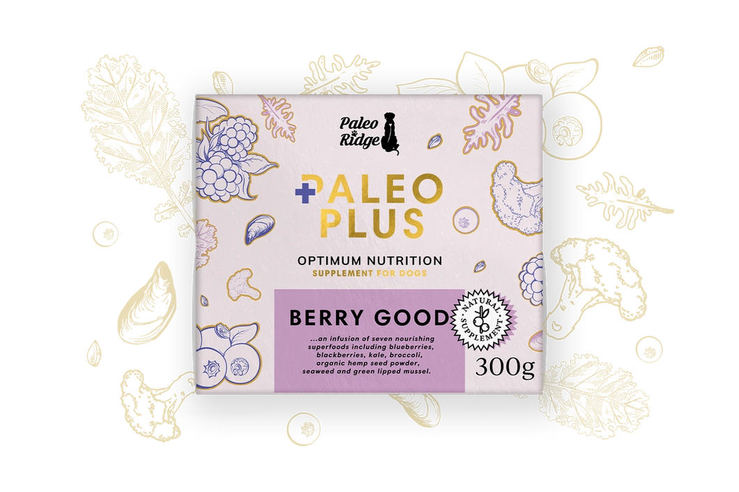 Paleo Plus Berry Good (300g)