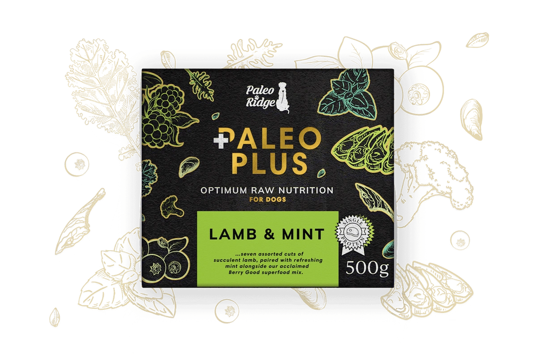 Paleo Plus Lamb & Mint (500g)