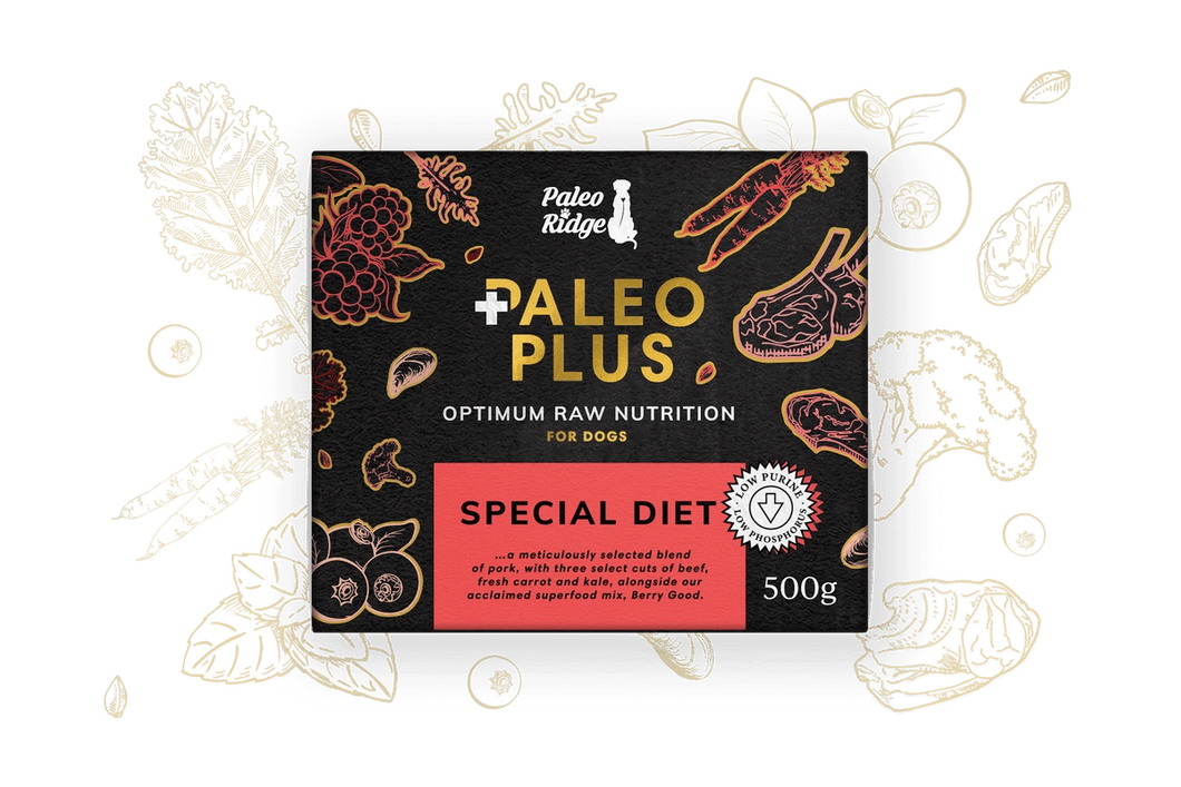 Paleo Plus Special Diet (500g)