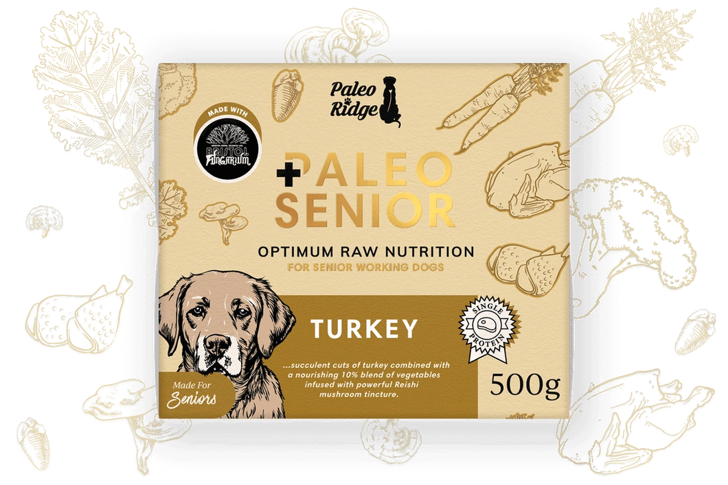 Paleo Senior Turkey (500g)