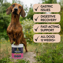 Load image into Gallery viewer, Pre &amp; Probiotics for Dogs - Tummy Tastic
