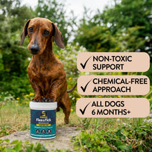 Load image into Gallery viewer, Natural Flea &amp; Tick Support for Dogs - Keep Off Me! Powder

