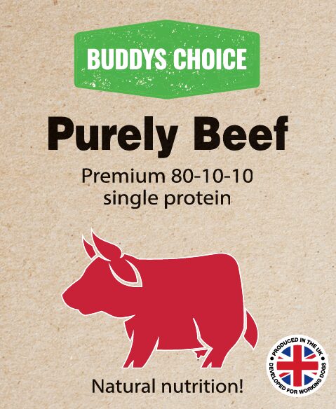 BUDDYS CHOICE PURELY BEEF