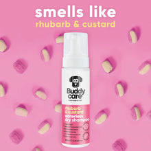 Load image into Gallery viewer, Rhubarb &amp; Custard Waterless Dry Dog Shampoo 200ml
