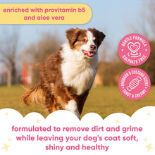 Load image into Gallery viewer, Rhubarb &amp; Custard Dog Shampoo 500ml
