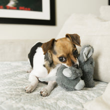 Load image into Gallery viewer, KONG Comfort Kiddos Lion Large
