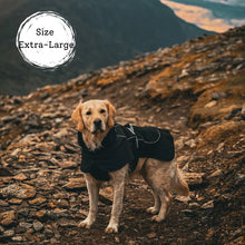 Load image into Gallery viewer, Rain Defender | Reflective Dog Coat | Black
