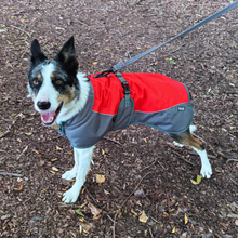 Load image into Gallery viewer, Henry Wag Waterproof Dog Coat
