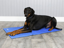 Load image into Gallery viewer, ClimaCOOL Self Cooling Dog Mat (Large – X-Large)
