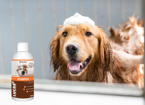 LUCAA+ Pet Probiotic Shampoo