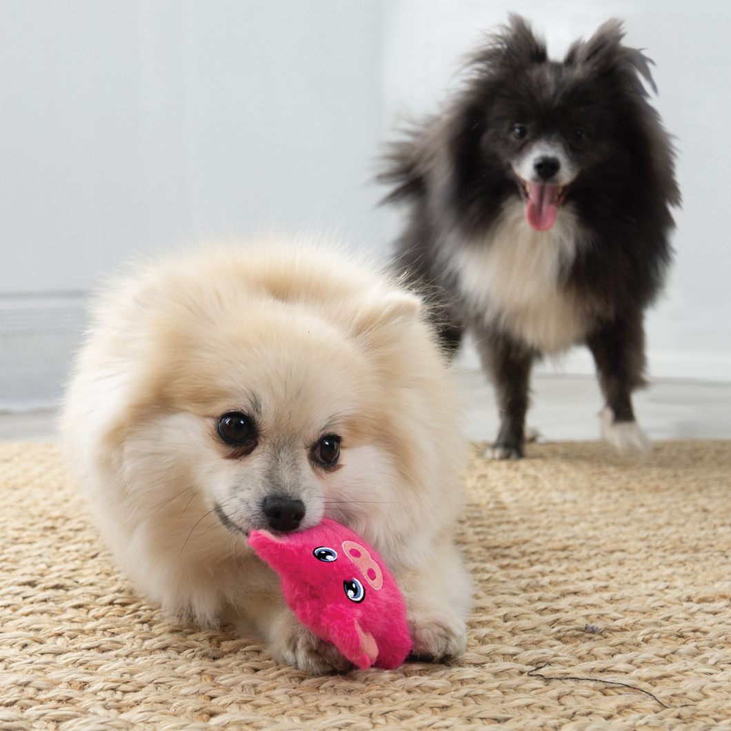 KONG SNUZZLES MINI PIG